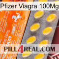 Pfizer Viagra 100Mg new05